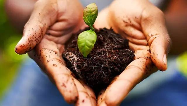 1495281925725042.jpg 微信圖片_20170520200047.jpg