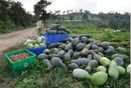 1495345919486130.jpg 微信圖片_20170521135049.jpg