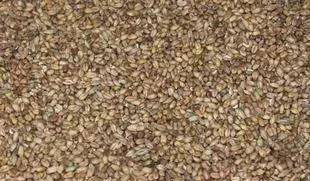 1495347042364005.jpg 微信圖片_20170521140911.jpg