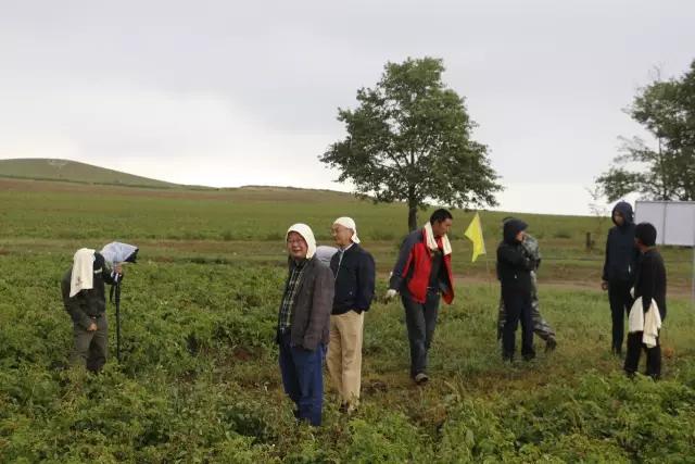 1505790660737650.jpg 薯來寶5.jpg