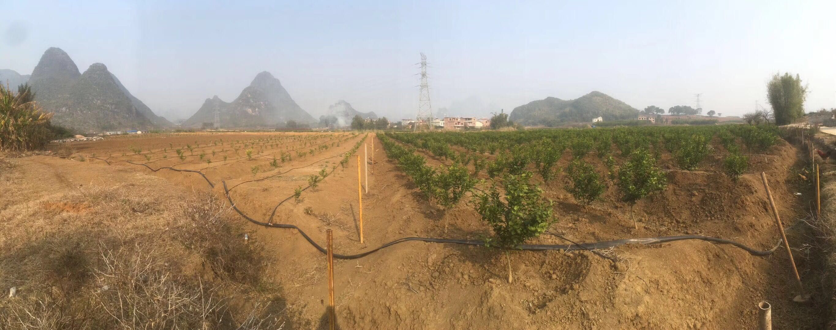 1516608608384230.jpg duibi.jpg