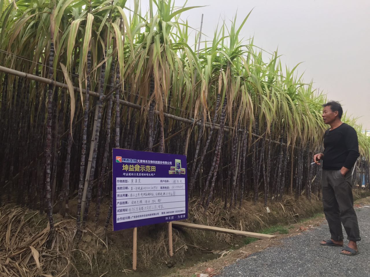 1524647088954530.jpg 甘蔗示范牌1.jpg