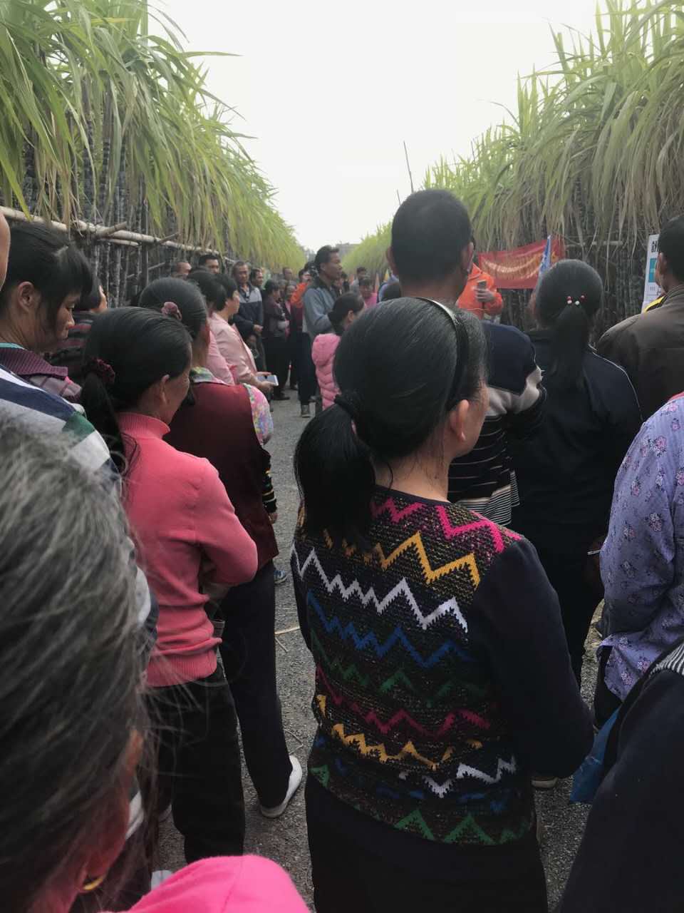 1524647244560747.jpg 微信圖片_20180125094838.jpg