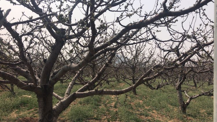 1525331869855945.jpg 微信圖片_20180419092510.jpg