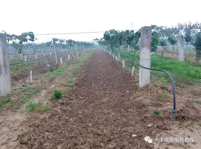 1525333784259739.jpg 微信圖片_20180416115806.jpg