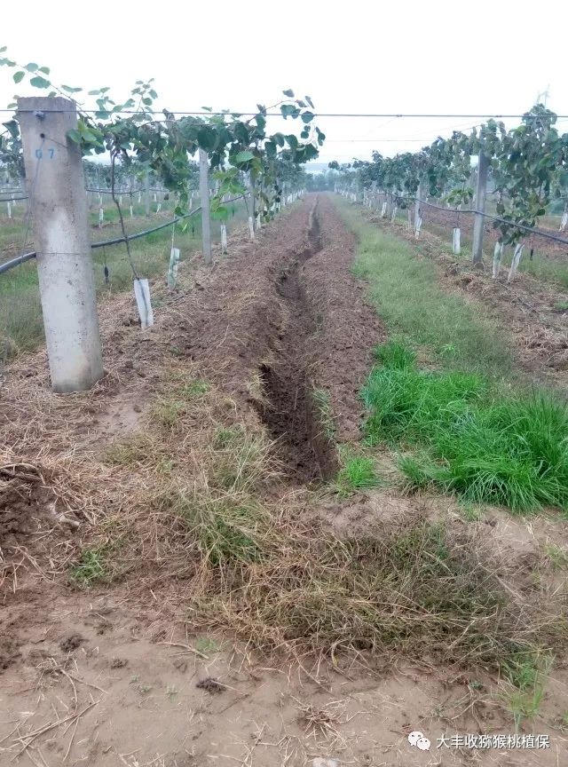 1525333798855945.jpg 微信圖片_20180416115802.jpg