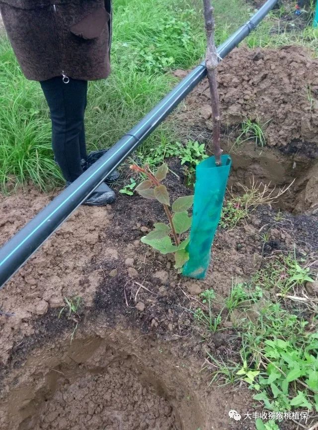 1525333831434664.jpg 微信圖片_20180416115758.jpg