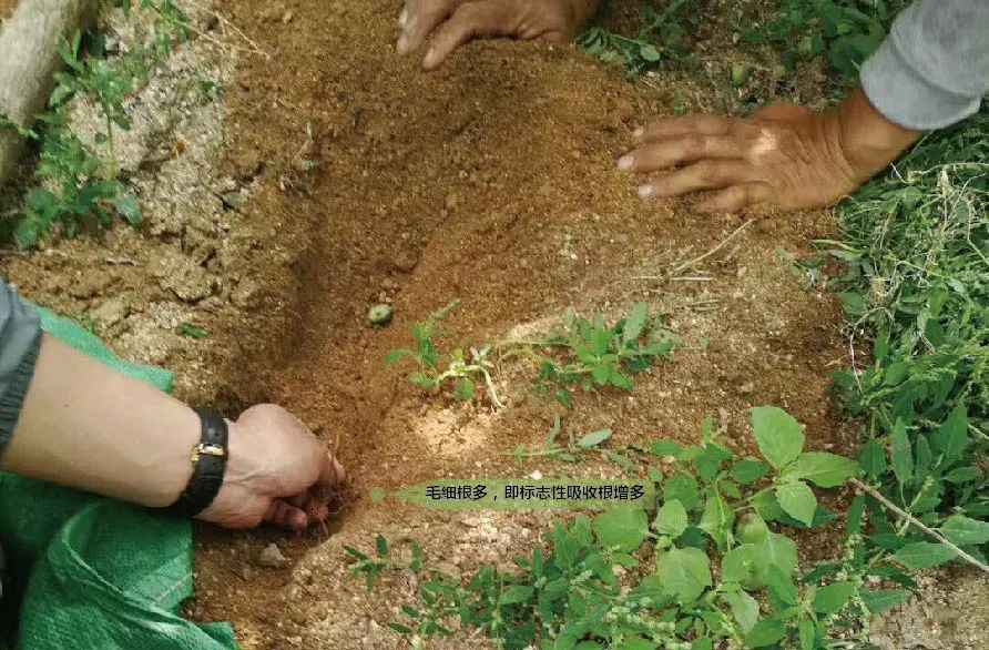 1529735214126659.png 微信圖片_201806231424151.png