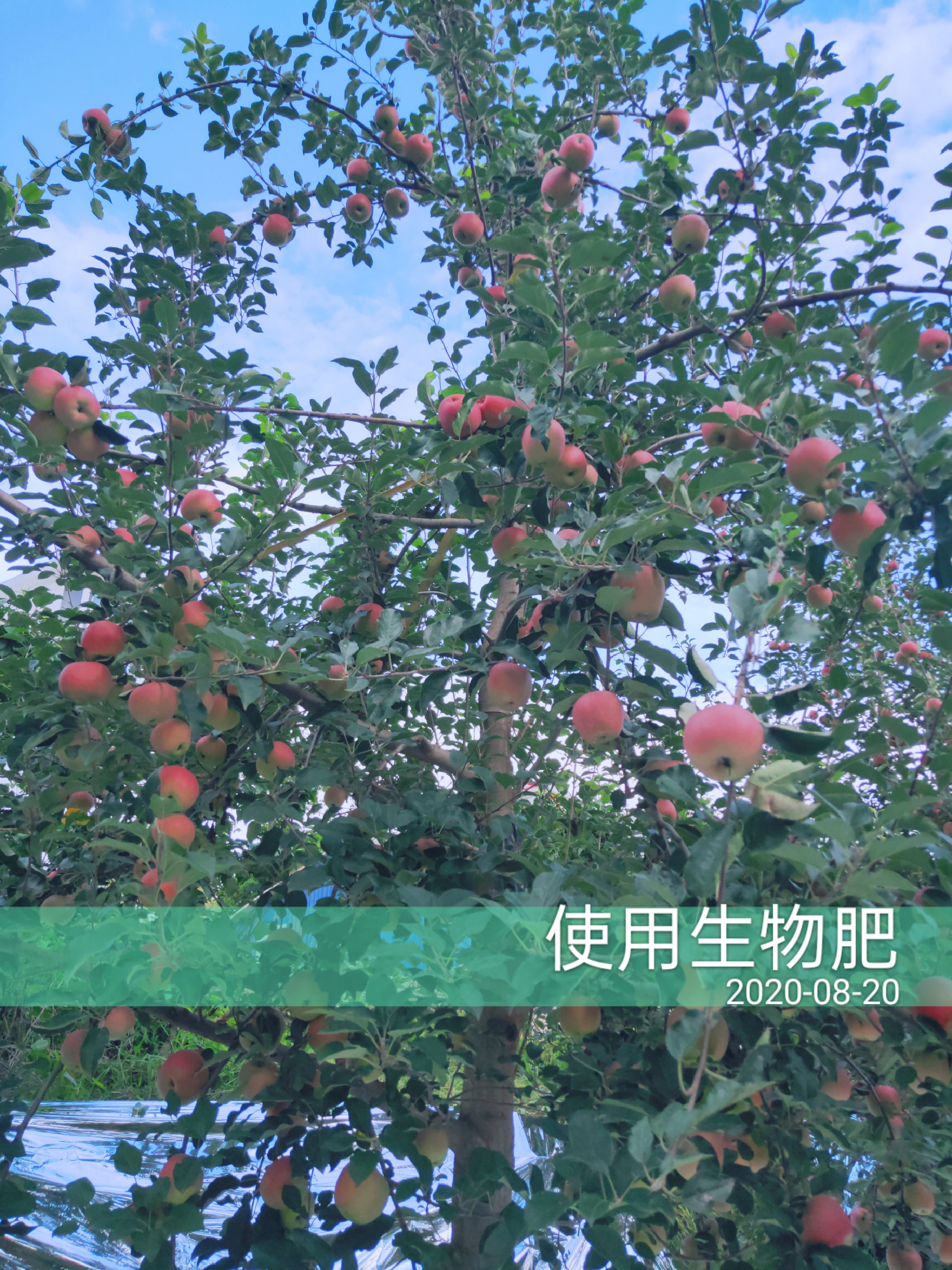 1598498171896482.jpg 微信圖片_202008210950176.jpg