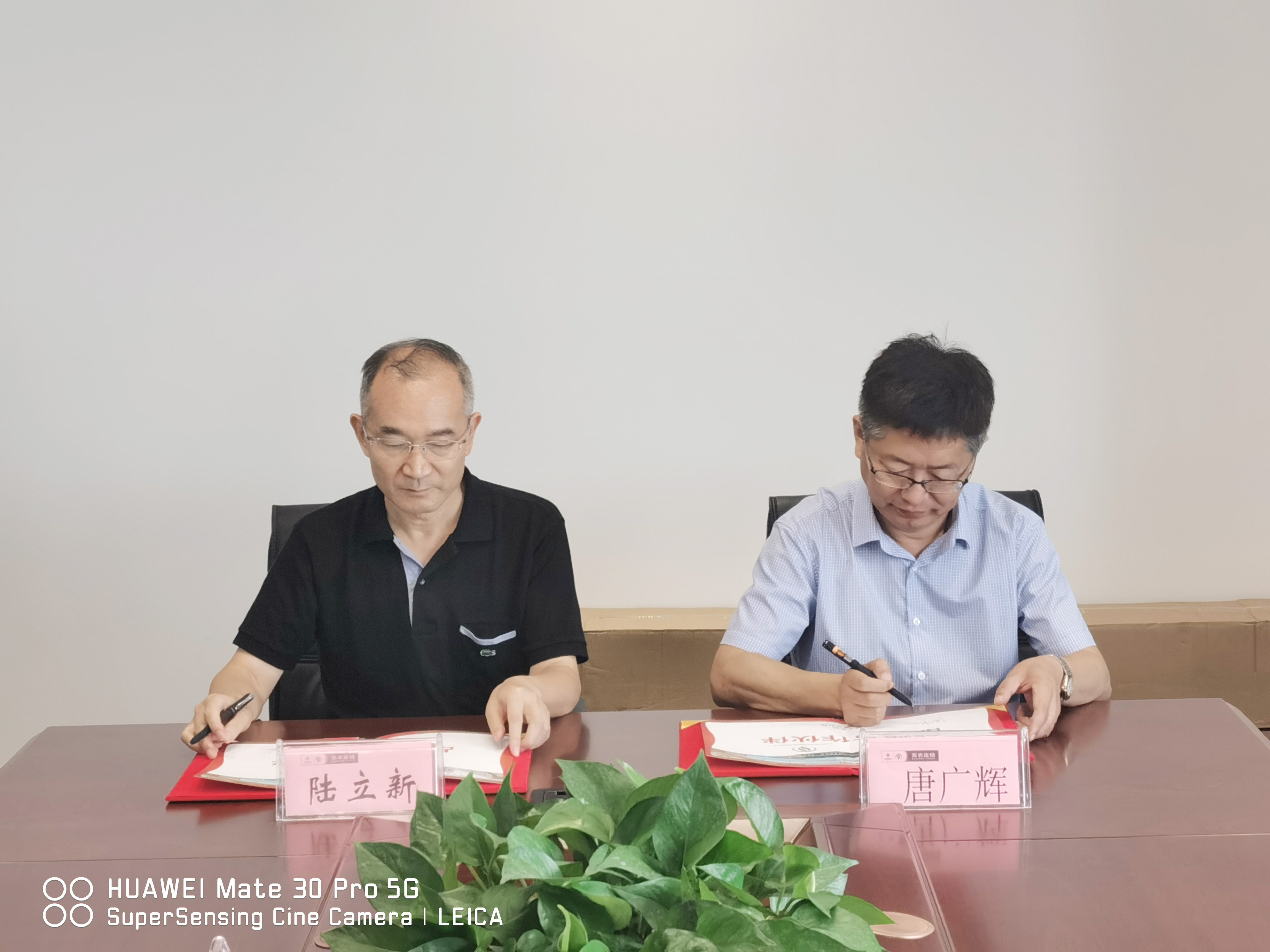 1600418026455782.jpg 1.jpg