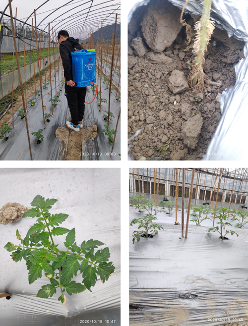 1606439902579648.png 未標(biāo)題-1-01.png