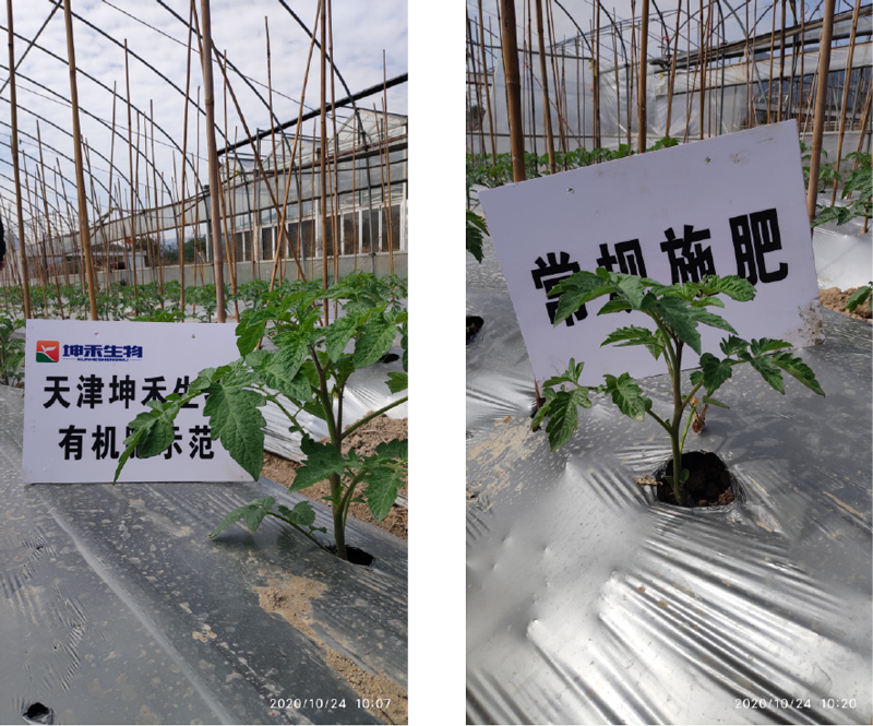 1606440254703443.png 未標(biāo)題-5-01.png