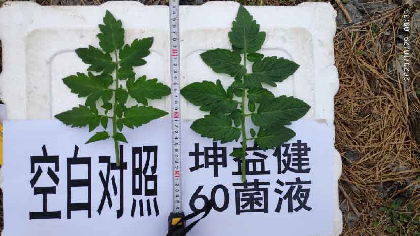 1606440447947078.jpg 8-01.jpg