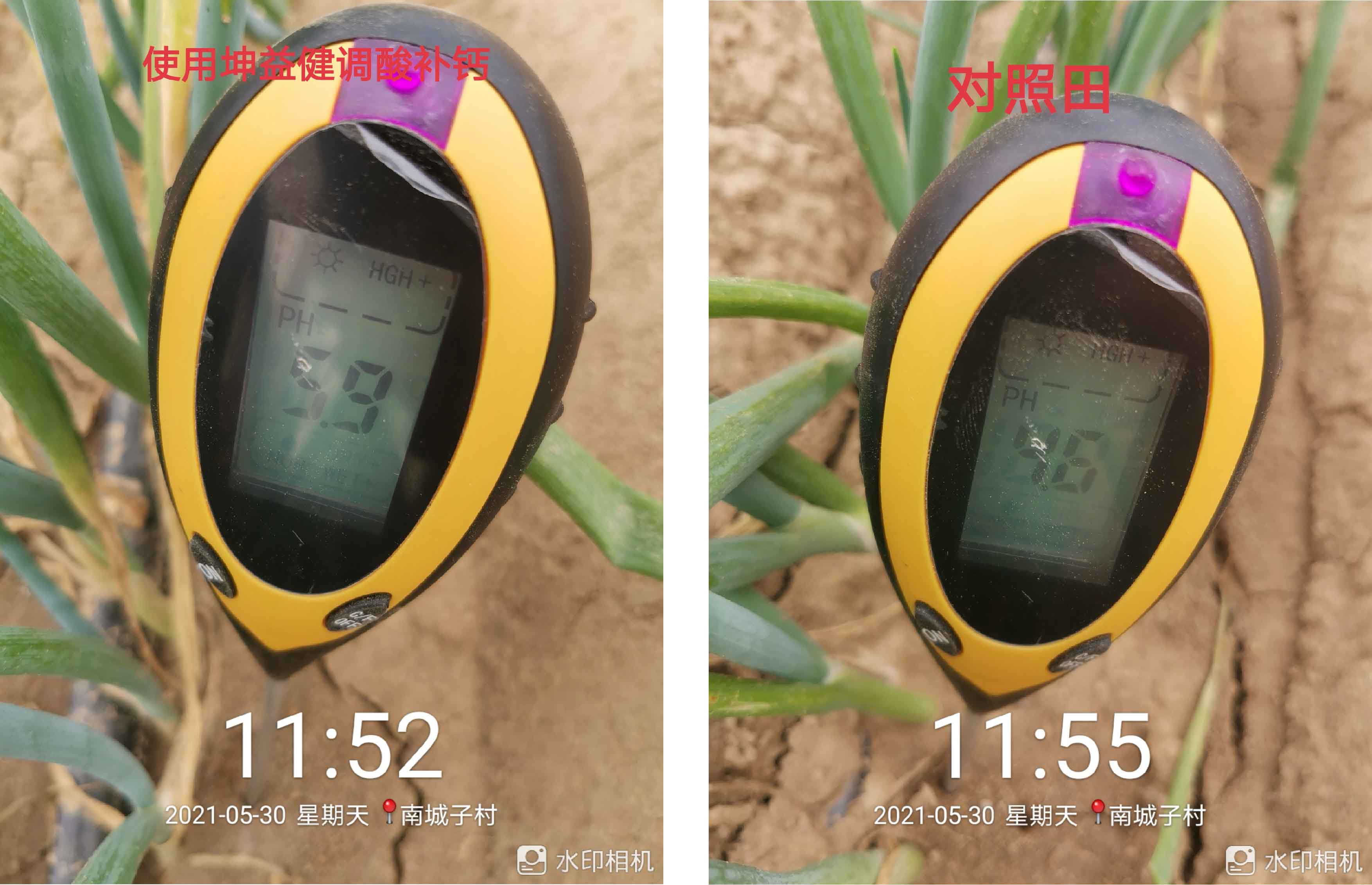 1628733734234356.jpg 9-01.jpg