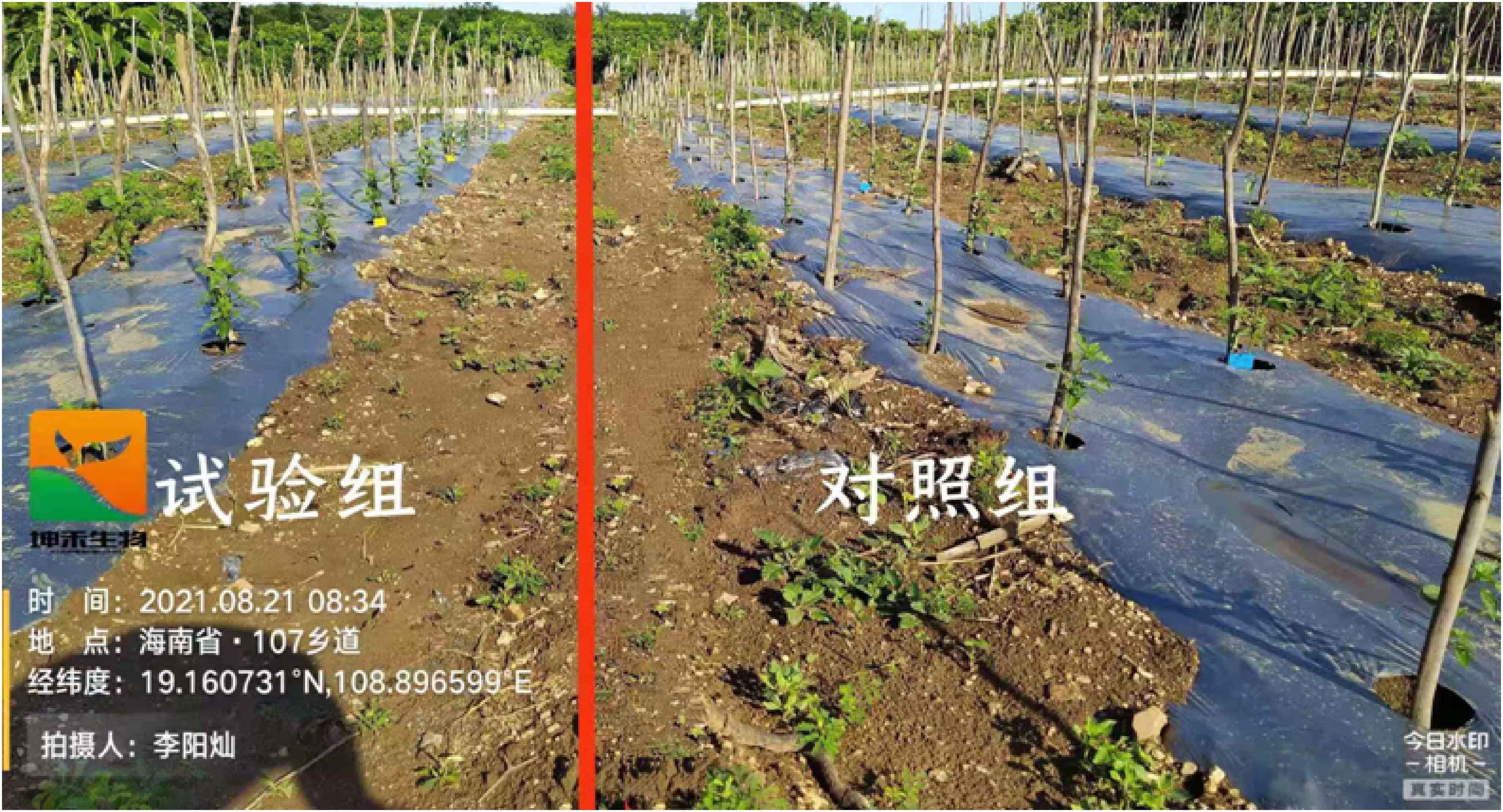 1630563354933717.jpg 10-01.jpg