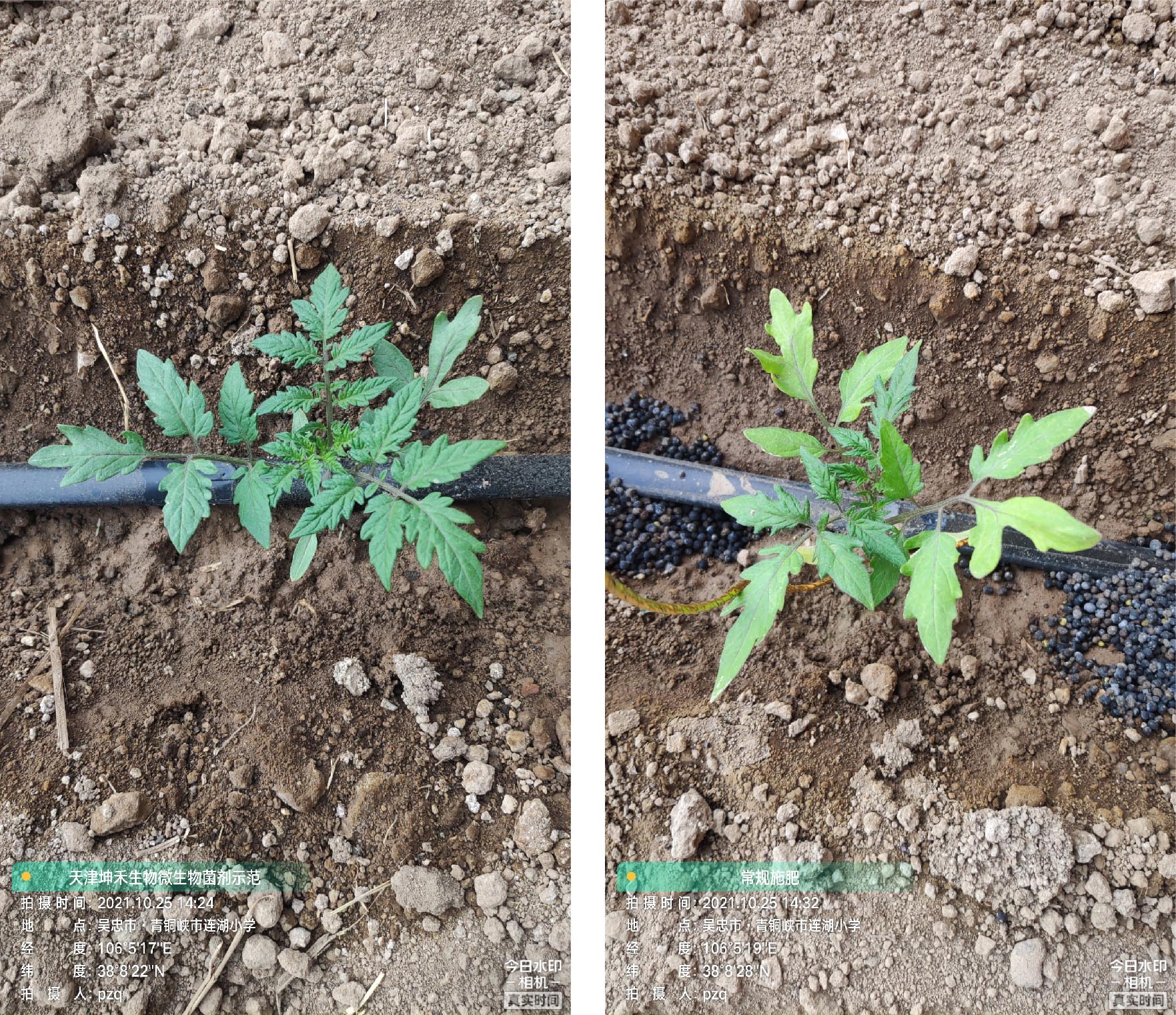 1652672187421325.jpg 3-01.jpg