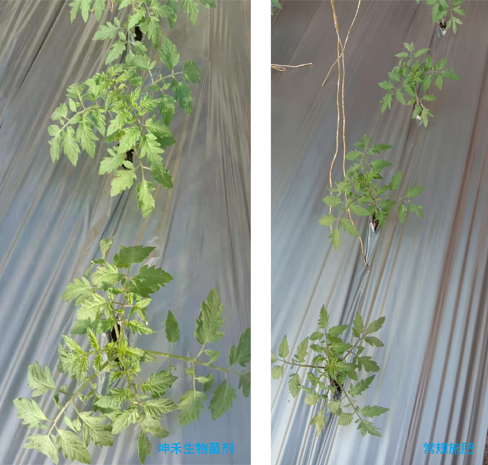 1652672207742047.jpg 4-01-01.jpg