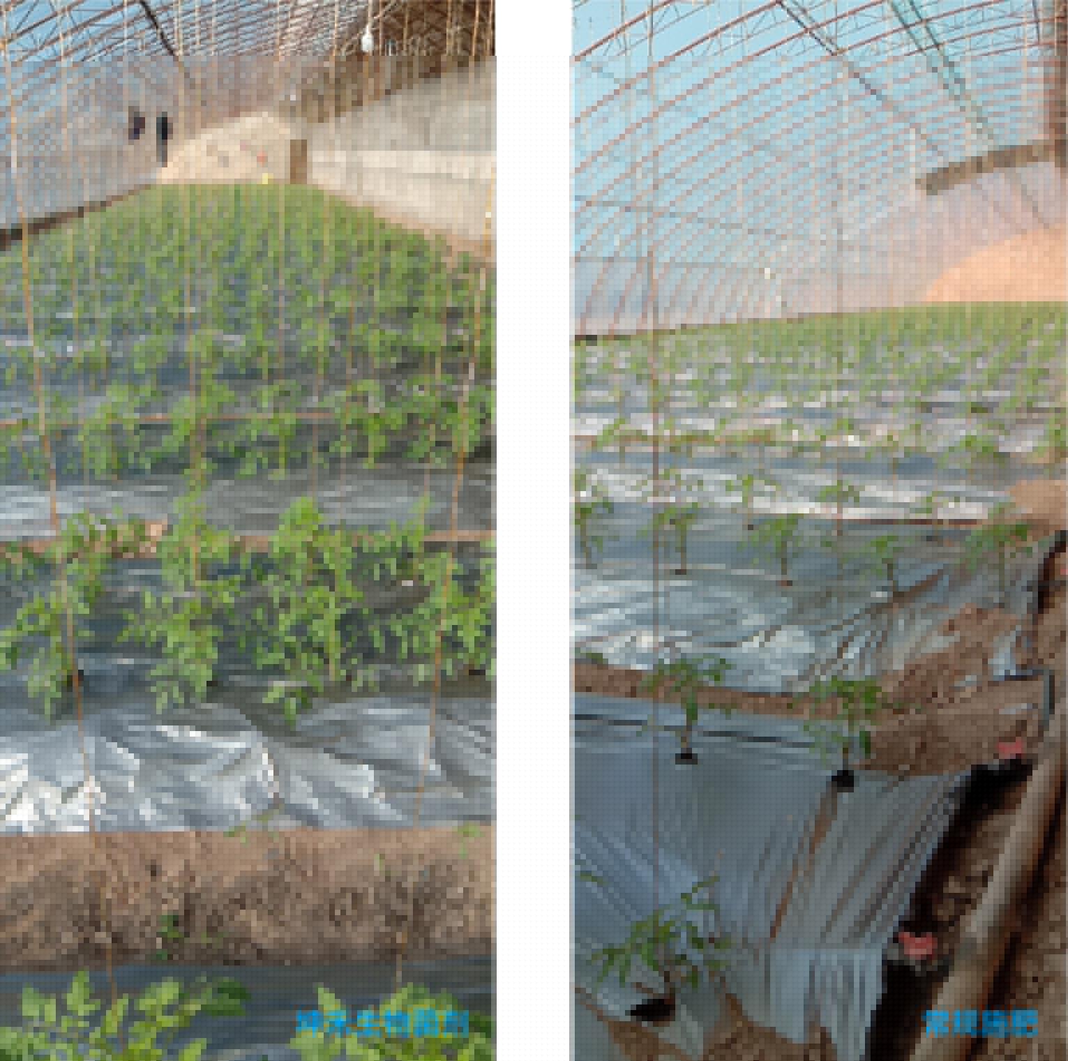 1652672211204396.jpg 5-01.jpg