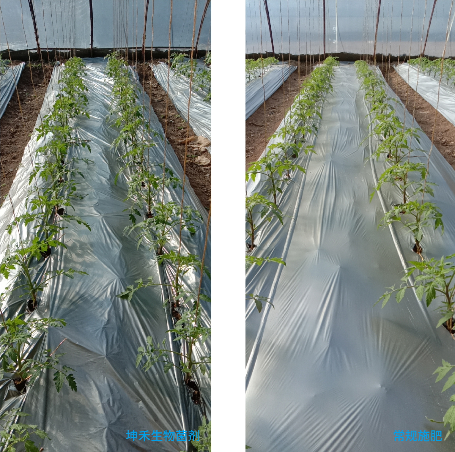 1652672242280025.jpg 6-01.jpg