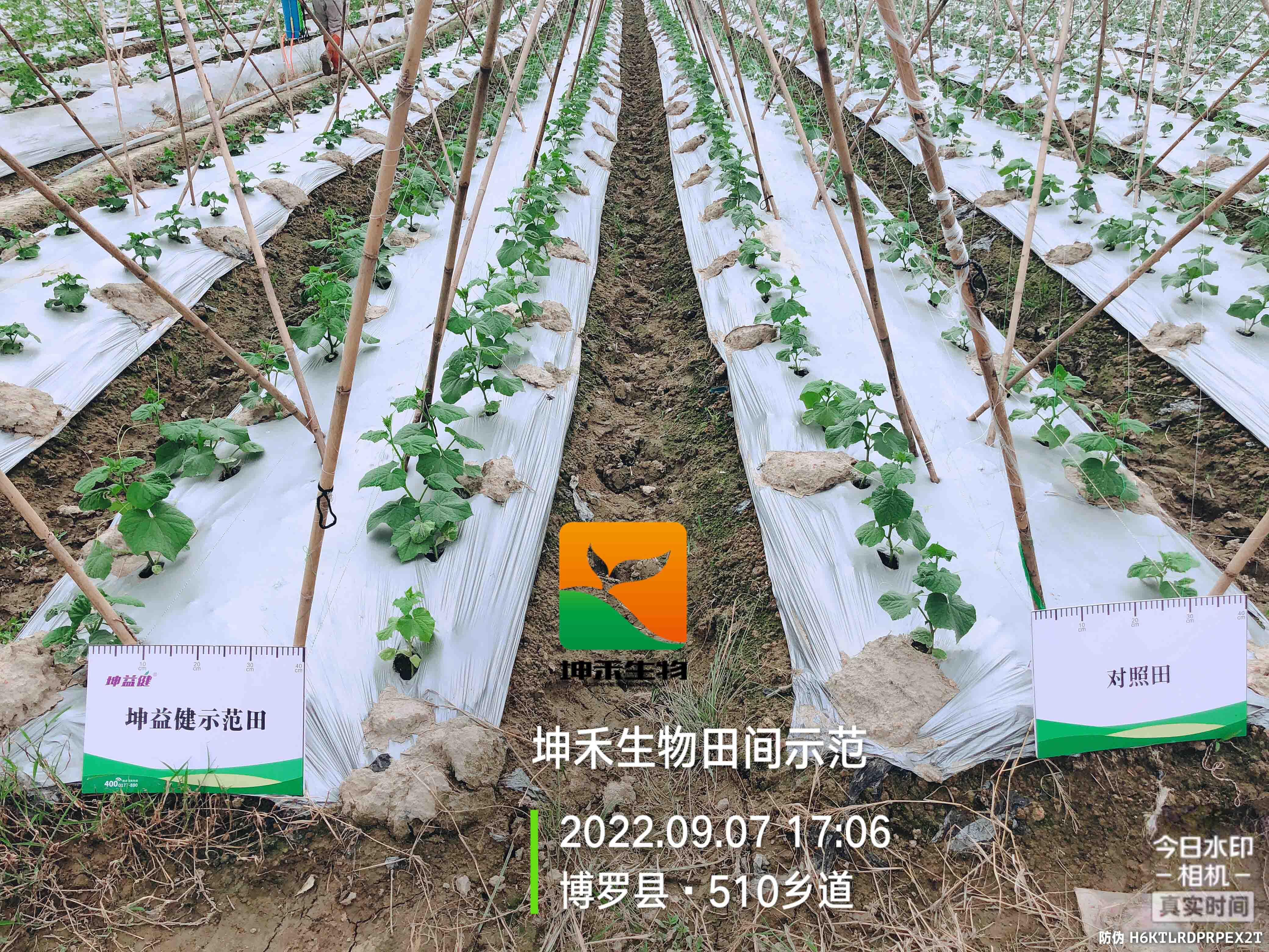 1664507691815614.jpg 微信圖片_202209150949021yasuo.jpg