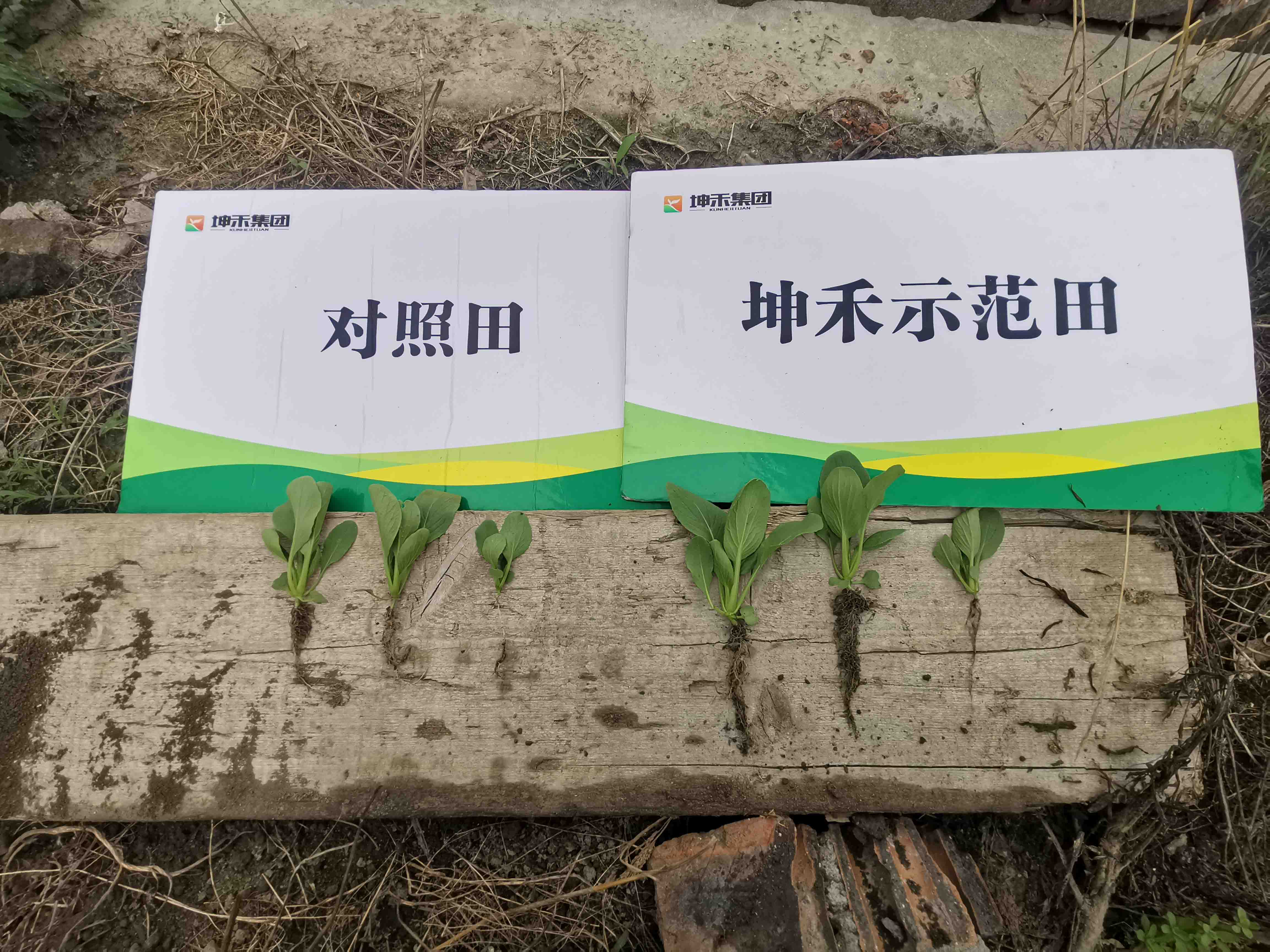 1672885923683730.jpg 微信圖片_202205161102422yasuo.jpg