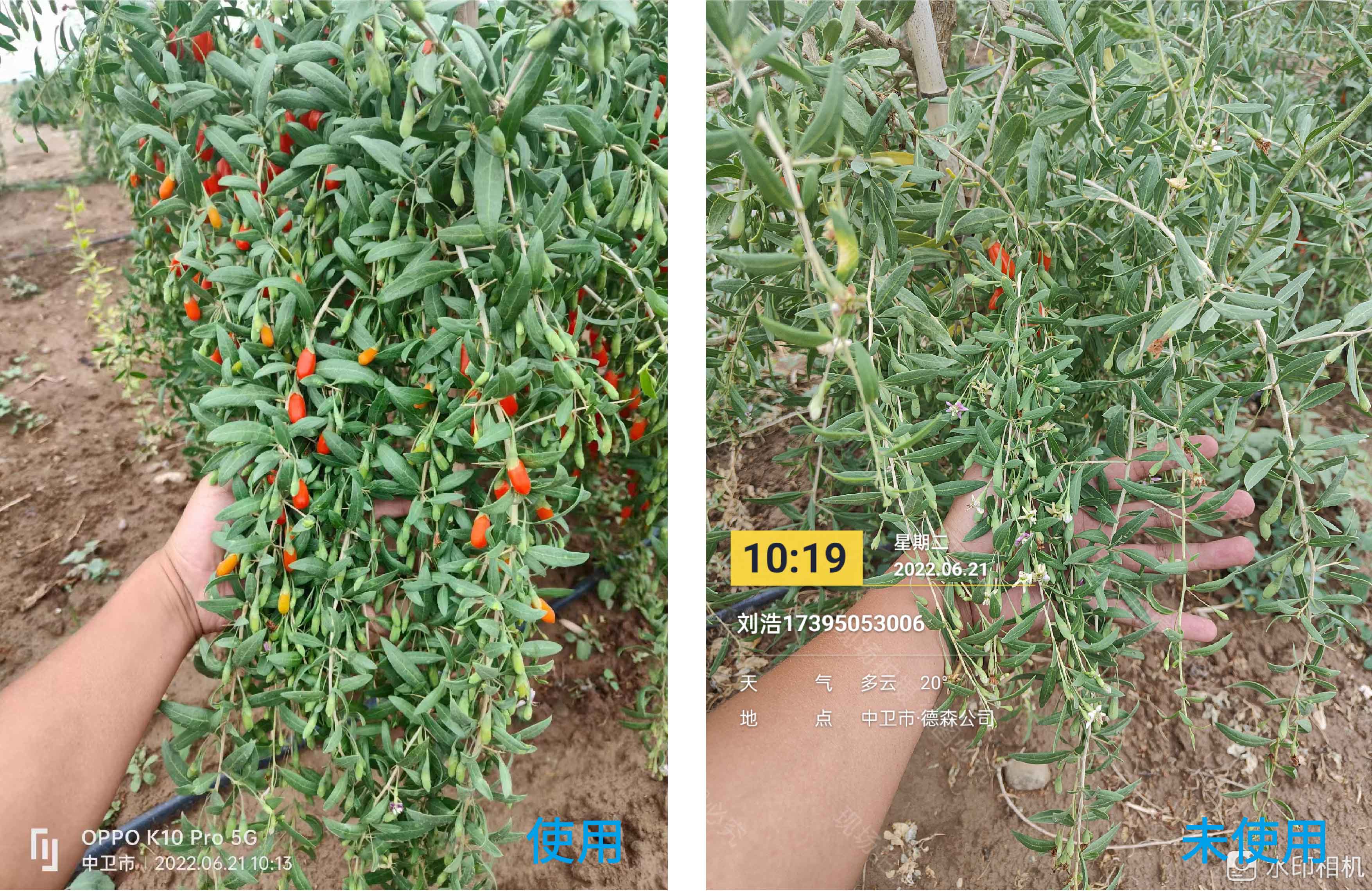 1672886356908181.jpg 未標題-1-01.jpg