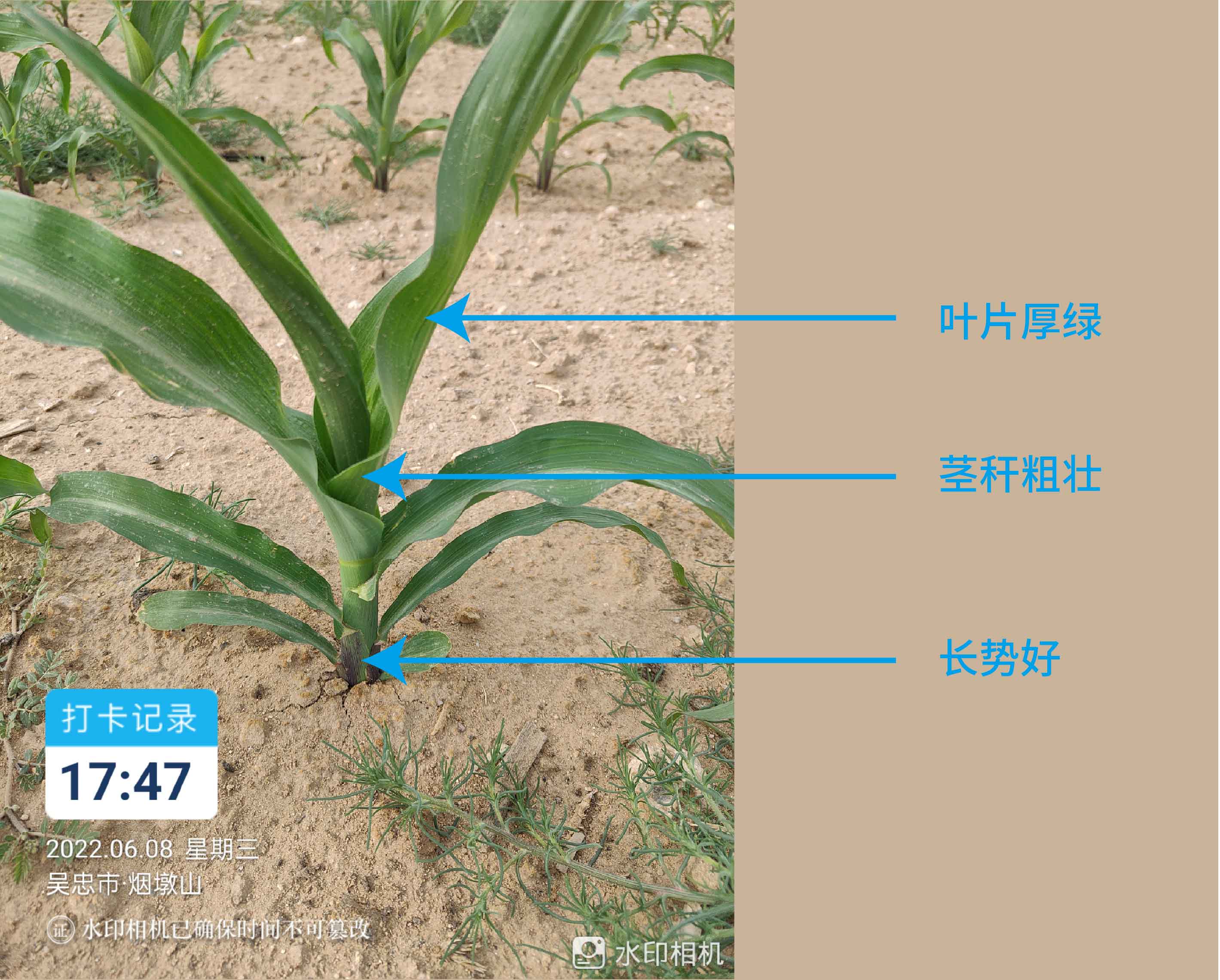 1672886473381467.jpg 1-01.jpg