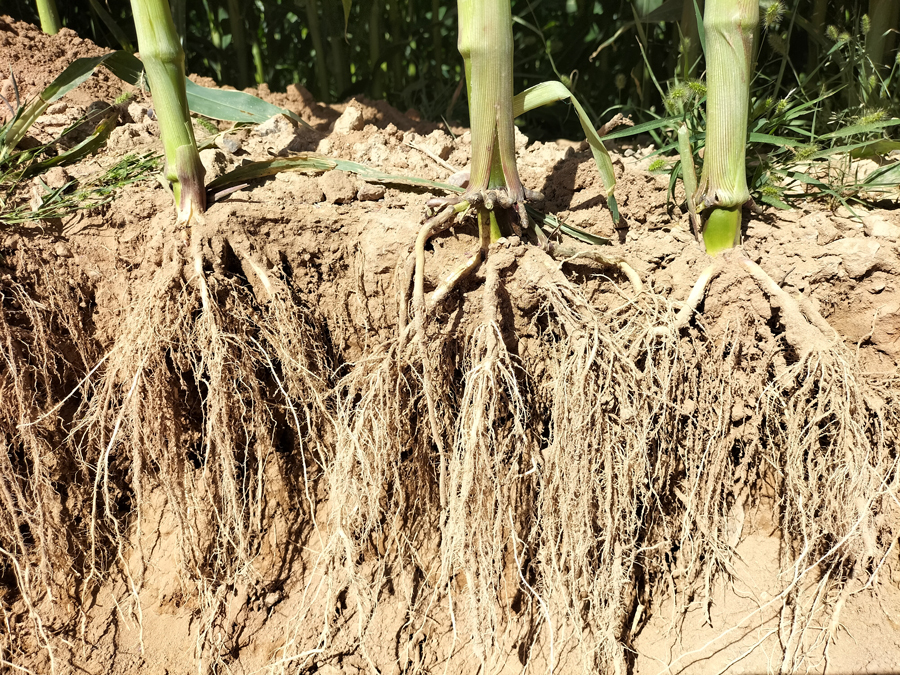 1672886675747017.jpg 微信圖片_202209070906081壓縮.jpg