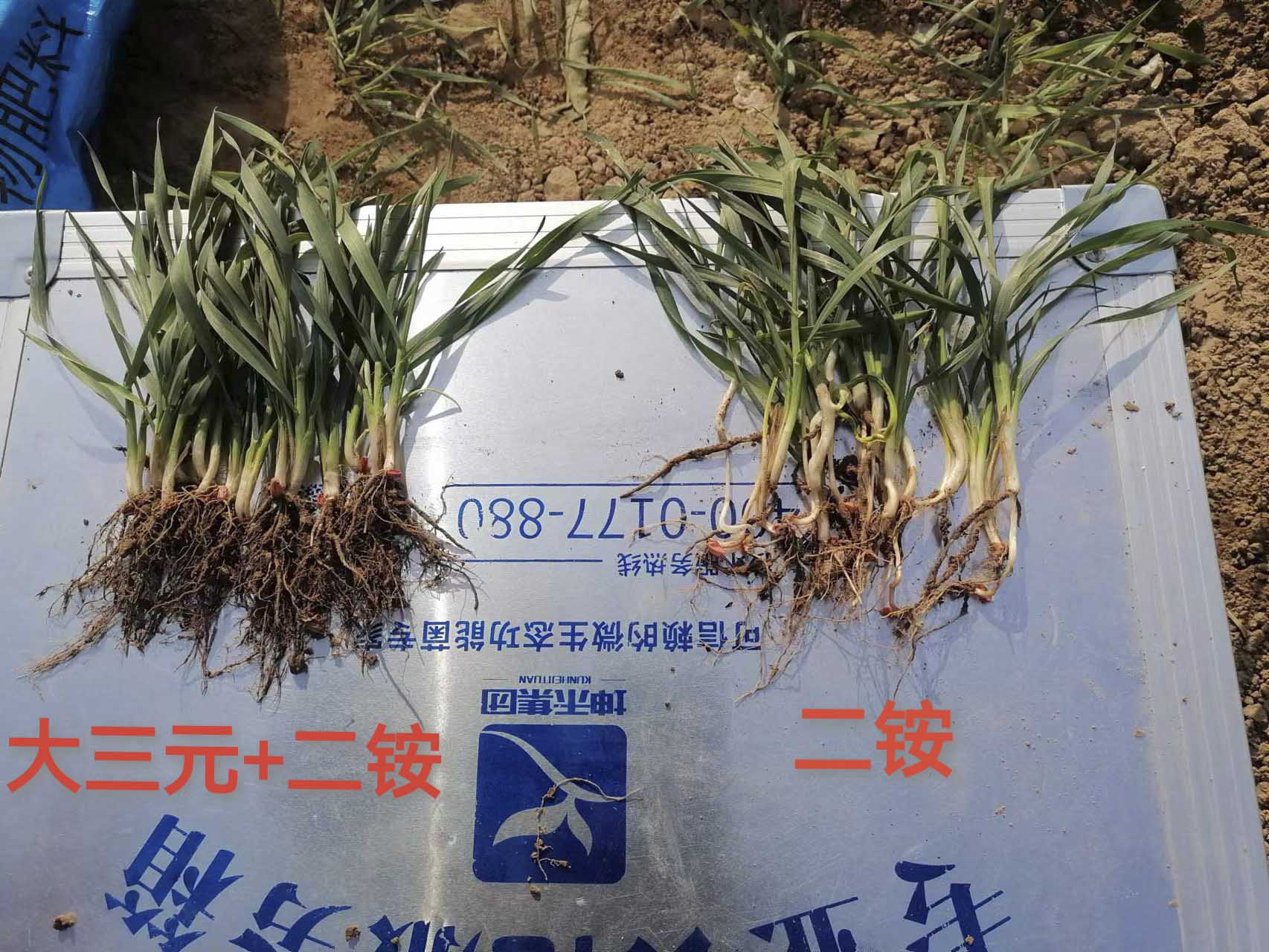 1683615125586199.jpg 微信圖片_20221205125127 壓縮.jpg