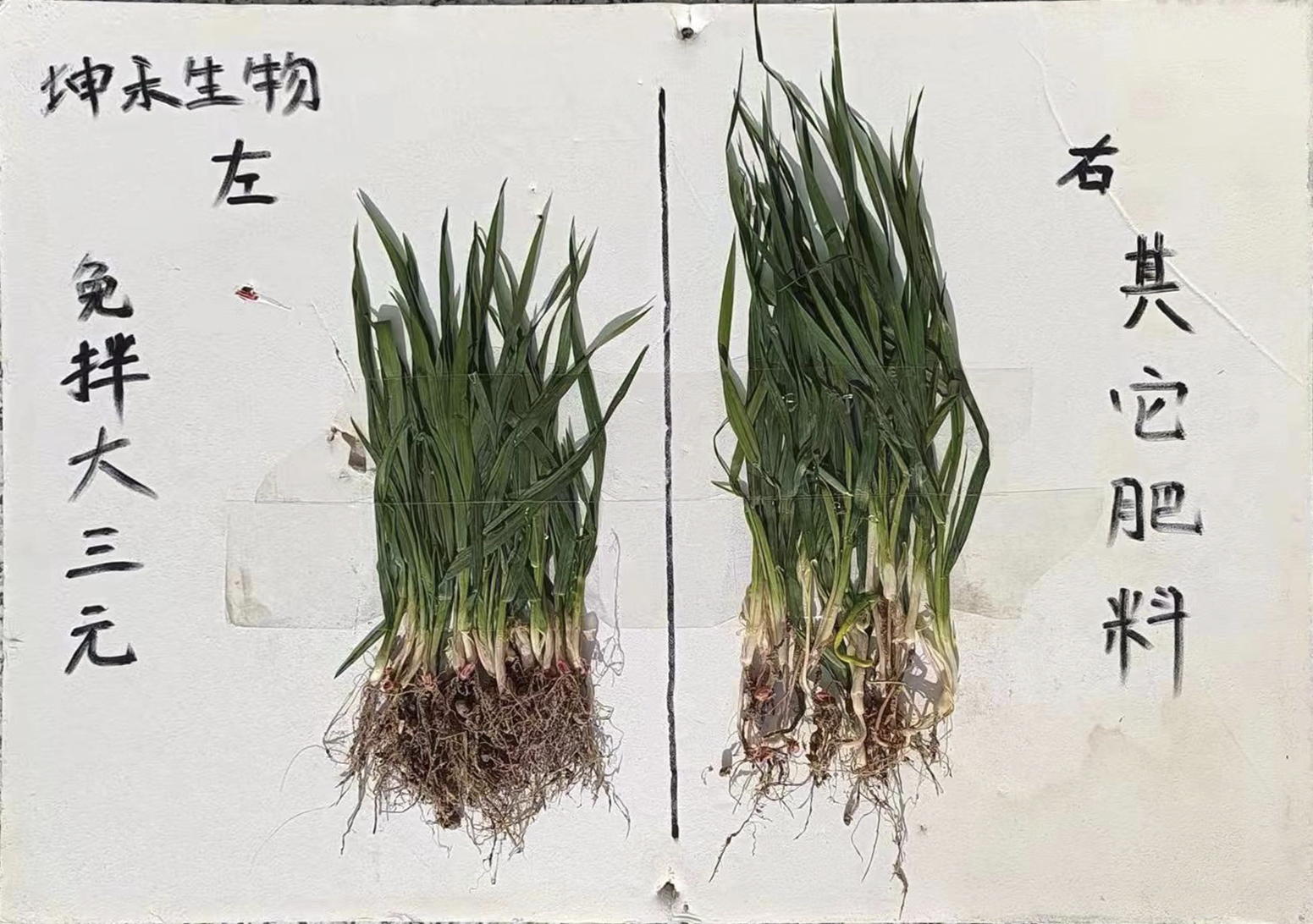 1683615135676386.jpg 微信圖片_20221205161549 修圖.jpg